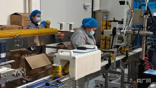 科技創(chuàng)新驅(qū)動(dòng)產(chǎn)業(yè)升級(jí) 探索阜康市網(wǎng)絡(luò)科技領(lǐng)域的雙輪驅(qū)動(dòng)綠色發(fā)展路徑